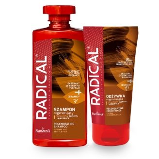 Zestaw do włosów suchych i łamliwych